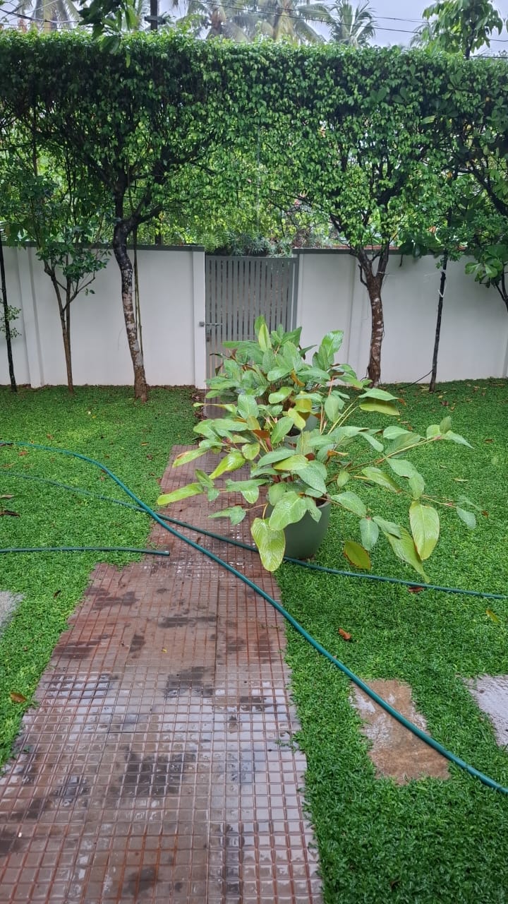 Real Garden Project 4
